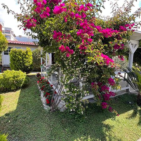 Nili Hotel Vlorë Εξωτερικό φωτογραφία